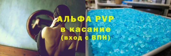 индика Верхний Тагил